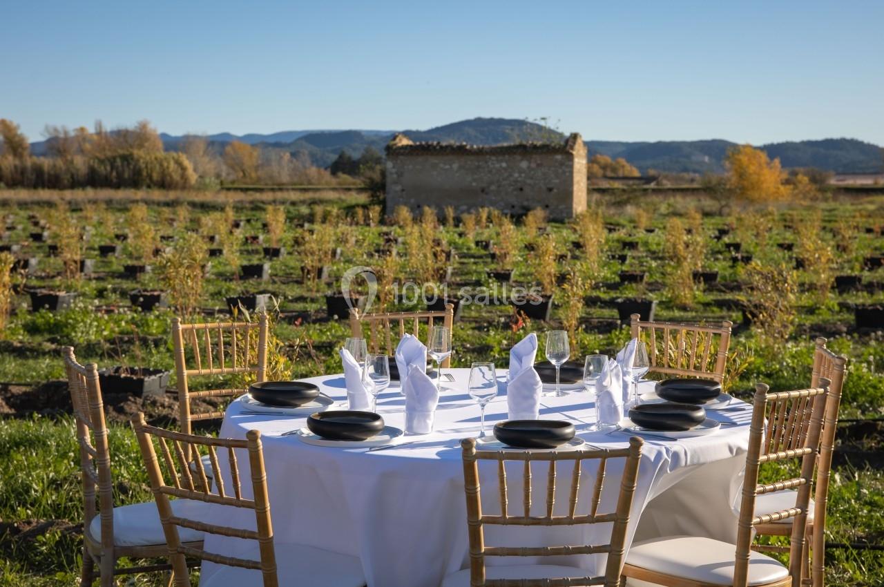 Table dressée avec nappes blanches, serviettes pliées et chaises en bois, dans un champ avec une petite bâtisse en arrière…