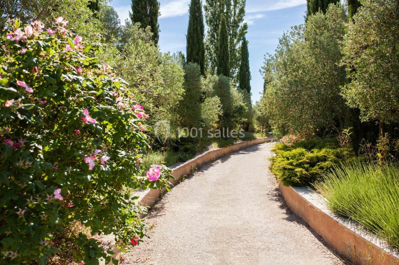 Allée bordée d'arbustes fleuris et d'arbres, sous un ciel bleu clair, dans un cadre naturel paisible.