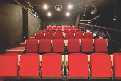 Espace salon avec canapés et fauteuils rouges, table basse en bois, plantes et photos encadrées sur un mur sombre.