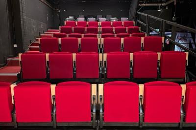 Espace salon avec canapés et fauteuils rouges, table basse en bois, plantes et photos encadrées sur un mur sombre.