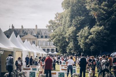 Miniature Location salle Brognon (Côte-d'Or) - Chateau de Brognon #32 Location salle Brognon (Côte-d'Or) - Chateau de Brognon #34