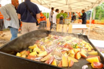 Miniature Traiteur Grigny (Essonne) - LCG Traiteur #60 Plat dressé avec une base de viande effilochée, purée de pommes de terre, feuilles de salade et sauce en décoration.