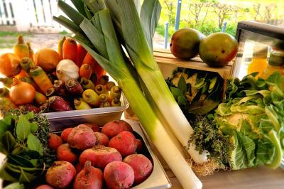 Miniature Retour de marché Plat dressé avec une base de viande effilochée, purée de pommes de terre, feuilles de salade et sauce en décoration.