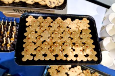 Plat dressé avec une base de viande effilochée, purée de pommes de terre, feuilles de salade et sauce en décoration.