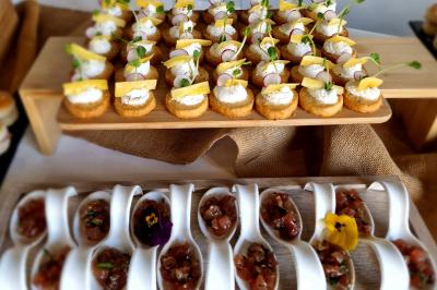 Plat dressé avec une base de viande effilochée, purée de pommes de terre, feuilles de salade et sauce en décoration.