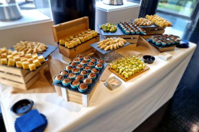 Plat dressé avec une base de viande effilochée, purée de pommes de terre, feuilles de salade et sauce en décoration.