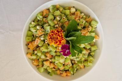 Plat dressé avec une base de viande effilochée, purée de pommes de terre, feuilles de salade et sauce en décoration.