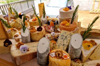 Plat dressé avec une base de viande effilochée, purée de pommes de terre, feuilles de salade et sauce en décoration.