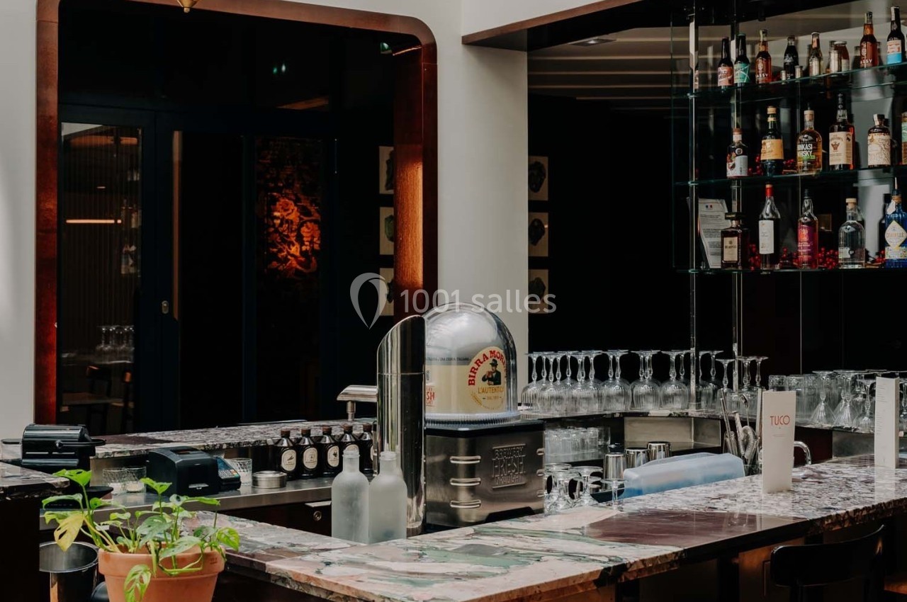 Comptoir de bar avec machine à glaçons, verres alignés, bouteilles d'alcool sur étagères et plante en pot au premier plan.