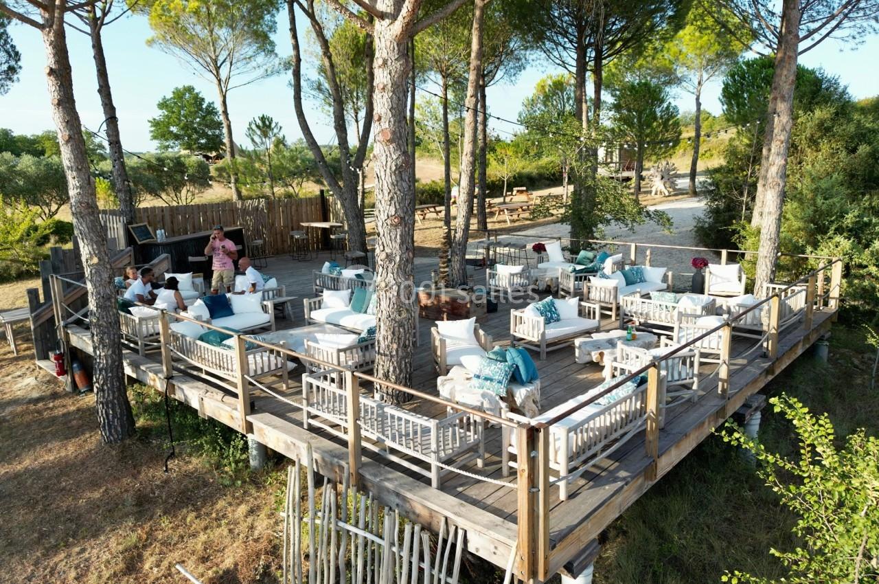 Terrasse en bois surélevée aménagée avec des fauteuils et tables, entourée de pins dans un cadre naturel.