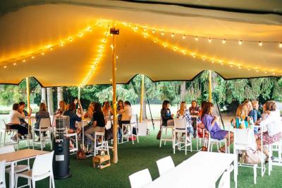 Quatre voitures sportives colorées alignées sur un parking en plein air, entourées de verdure.