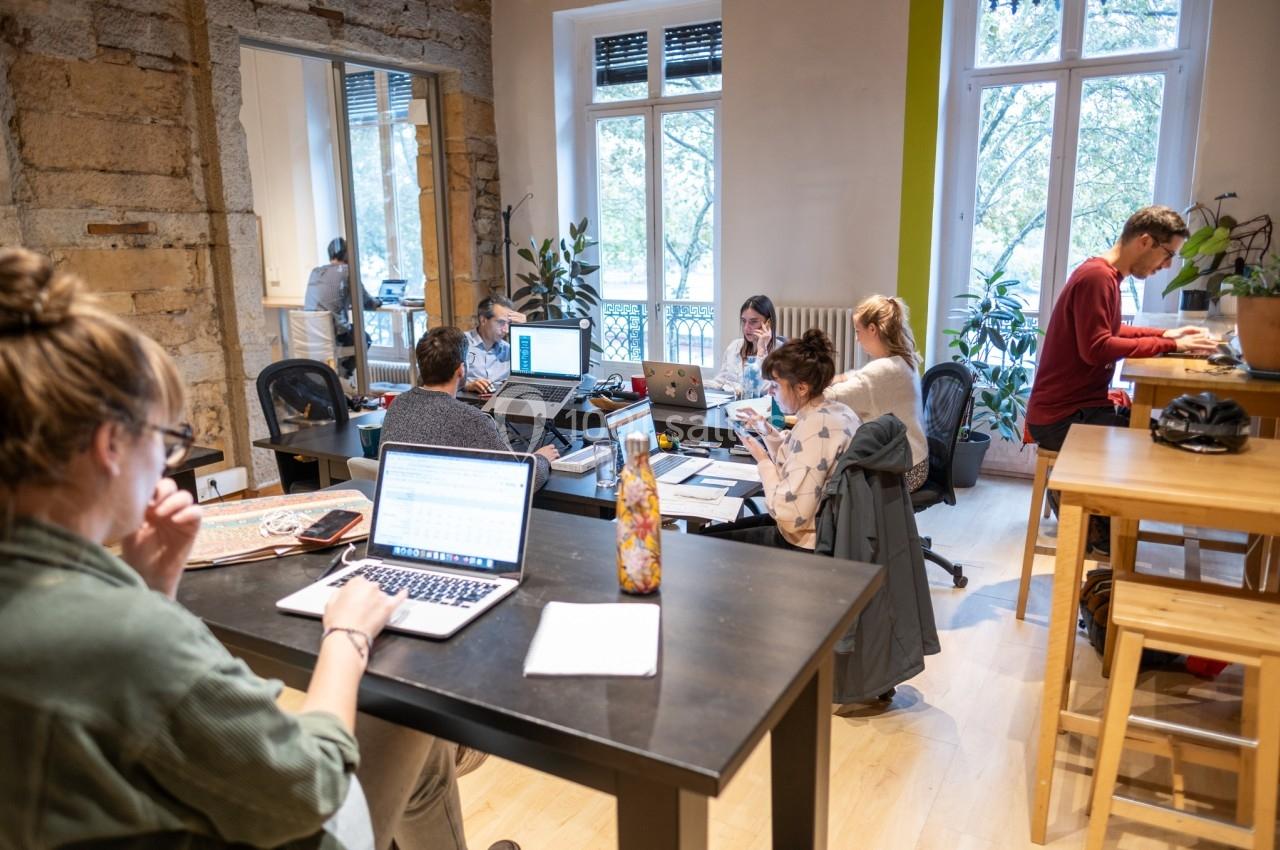 Personnes travaillant sur des ordinateurs dans un espace de coworking lumineux avec des plantes et de grandes fenêtres.