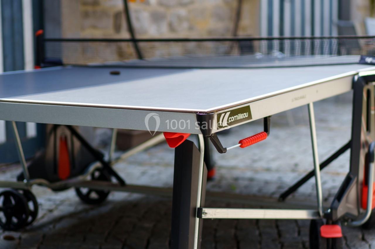 Table de ping-pong extérieure sur une terrasse pavée, avec des fleurs suspendues en arrière-plan.