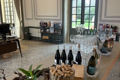 Domaine du Grand Puy - photo 5