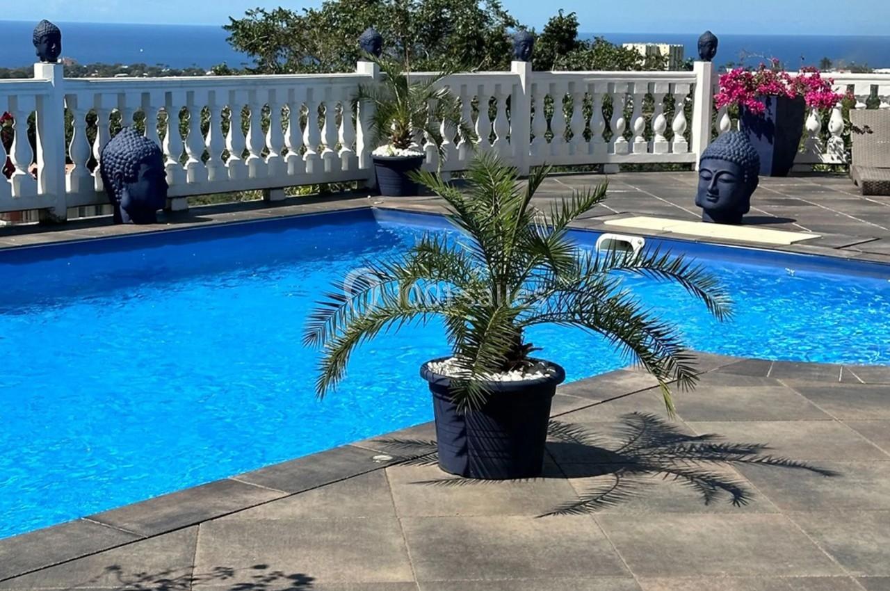 Piscine extérieure entourée de statues décoratives, plantes en pot et vue sur la mer à l'horizon.
