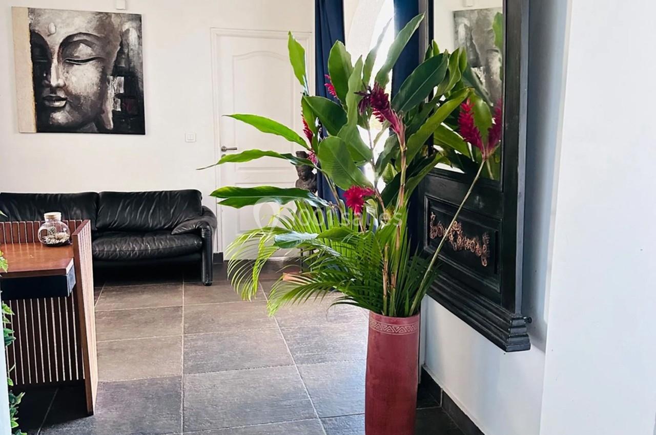 Plante tropicale dans un vase rouge décorant un salon moderne avec canapé noir, tableau et miroir encadré.