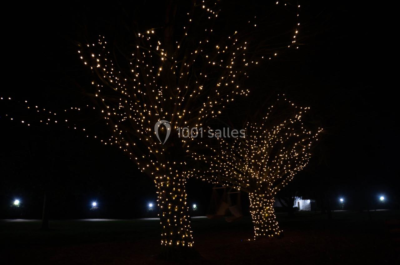 Domaine Nantais - galerie - photo 13