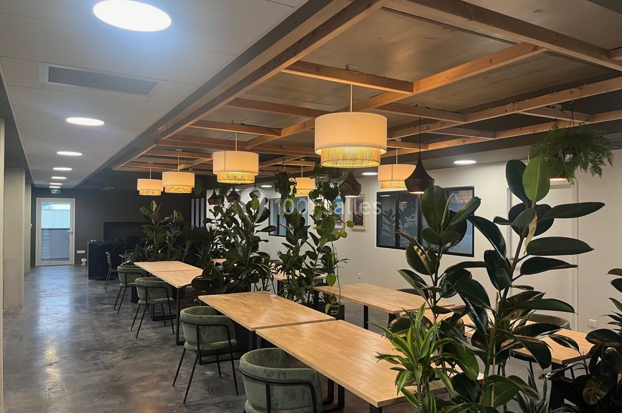 Espace de travail moderne avec des tables en bois, des plantes vertes et un éclairage suspendu chaleureux.