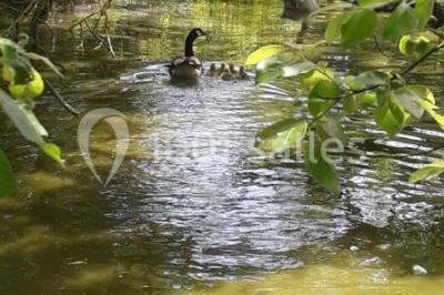 Location salle La Houssaye-Béranger (Seine-Maritime) - Le Clos Normand #24