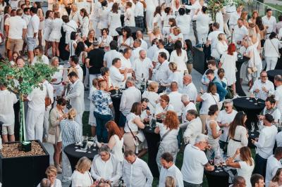 Éoliennes dans un paysage rural avec des vignes au premier plan et un ciel nuageux en arrière-plan.