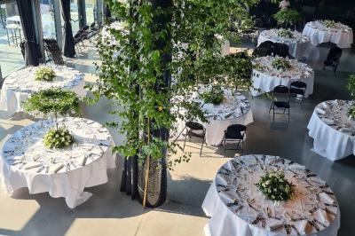 Éoliennes dans un paysage rural avec des vignes au premier plan et un ciel nuageux en arrière-plan.