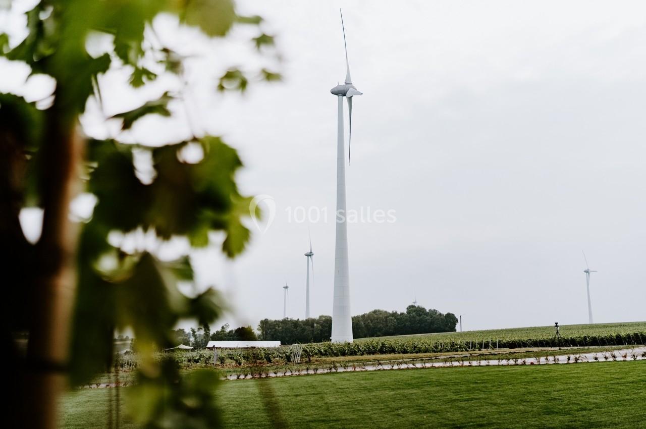 Éoliennes dans un paysage rural avec des vignes au premier plan et un ciel nuageux en arrière-plan.