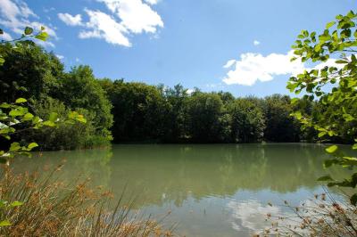 Pavillon de Gouffern - photo 2
