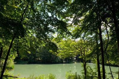 Pavillon de Gouffern - photo 5