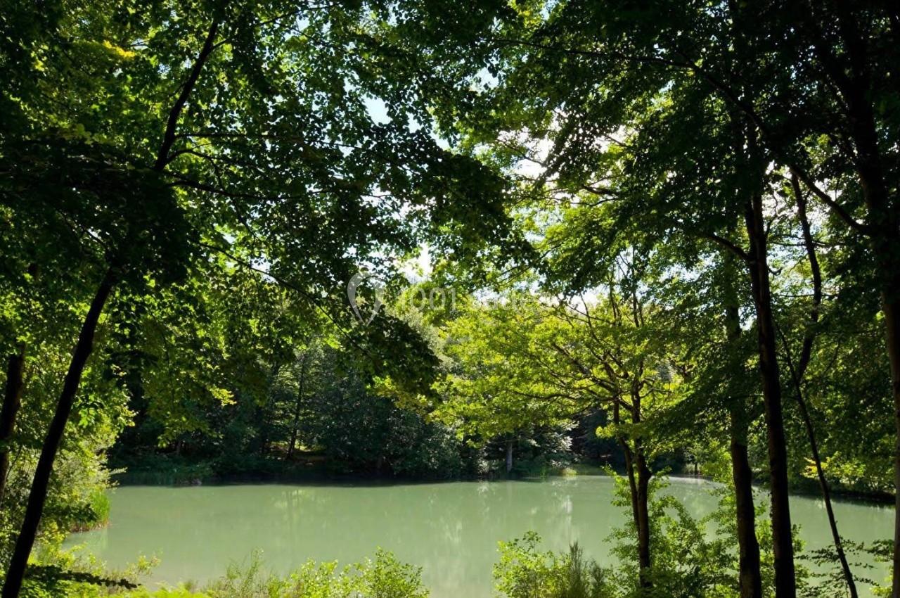 Étang entouré d'arbres verdoyants sous un ciel partiellement dégagé.