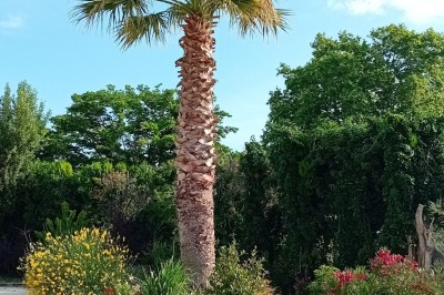 L'Auberge - photo 3