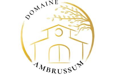 Domaine d'Ambrussum Events  - photo 4