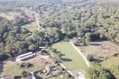 Domaine d'Ambrussum Events  - photo 5