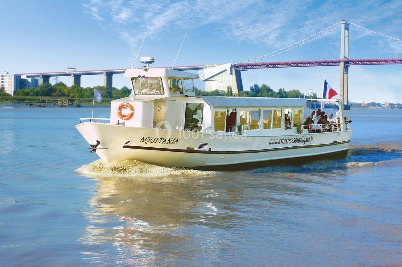 Bateau de croisière naviguant sur un fleuve, avec un pont en arrière-plan et des passagers à bord.