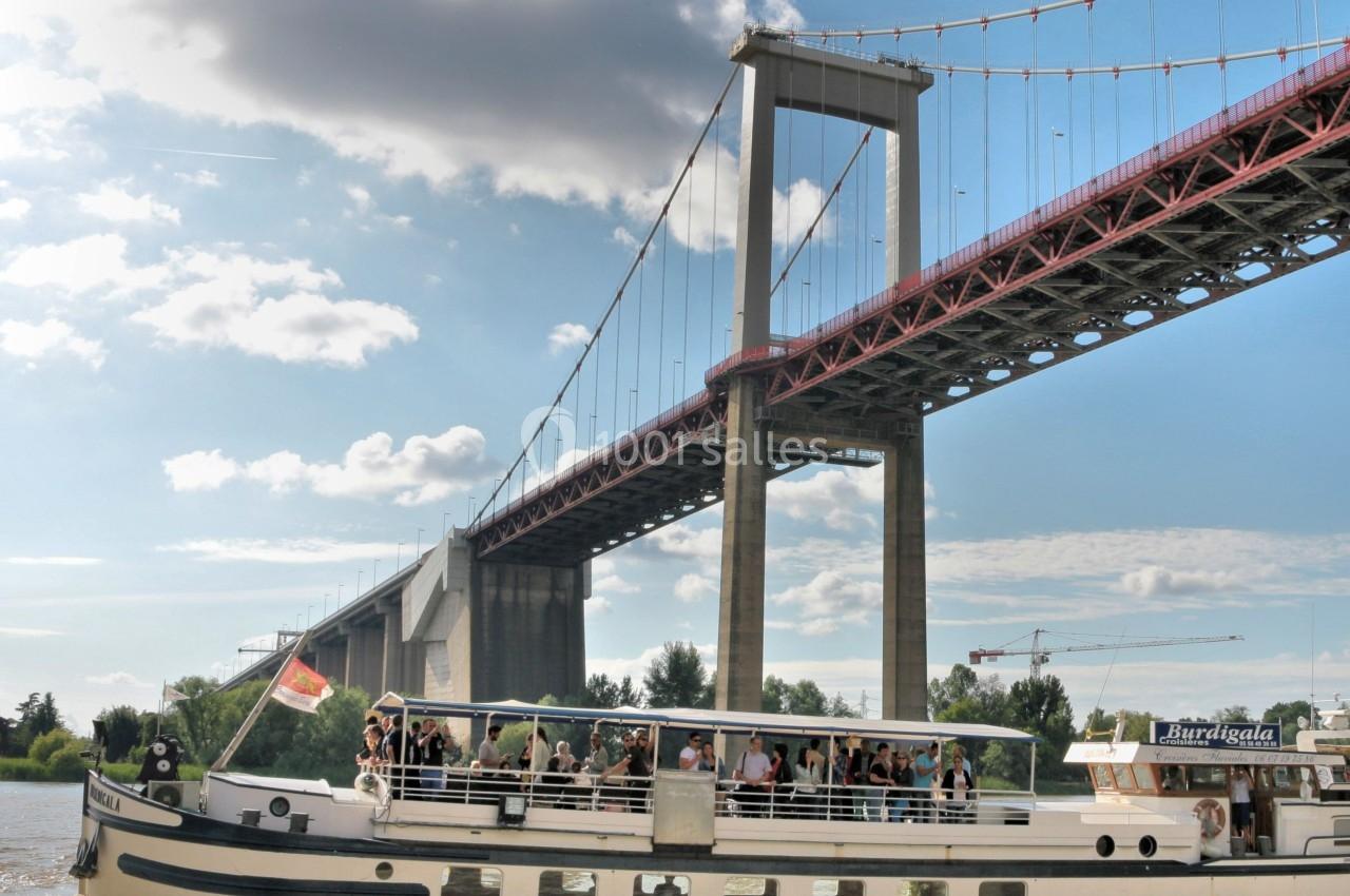 Bateau de croisière naviguant sur un fleuve sous un grand pont suspendu par une journée ensoleillée.