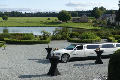 Miniature Vue de la terrasse du château Un couple en tenue de mariage se tient devant un officiant dans un décor festif avec sapins et guirlandes lumineuses.