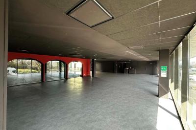 Vango - photo 1