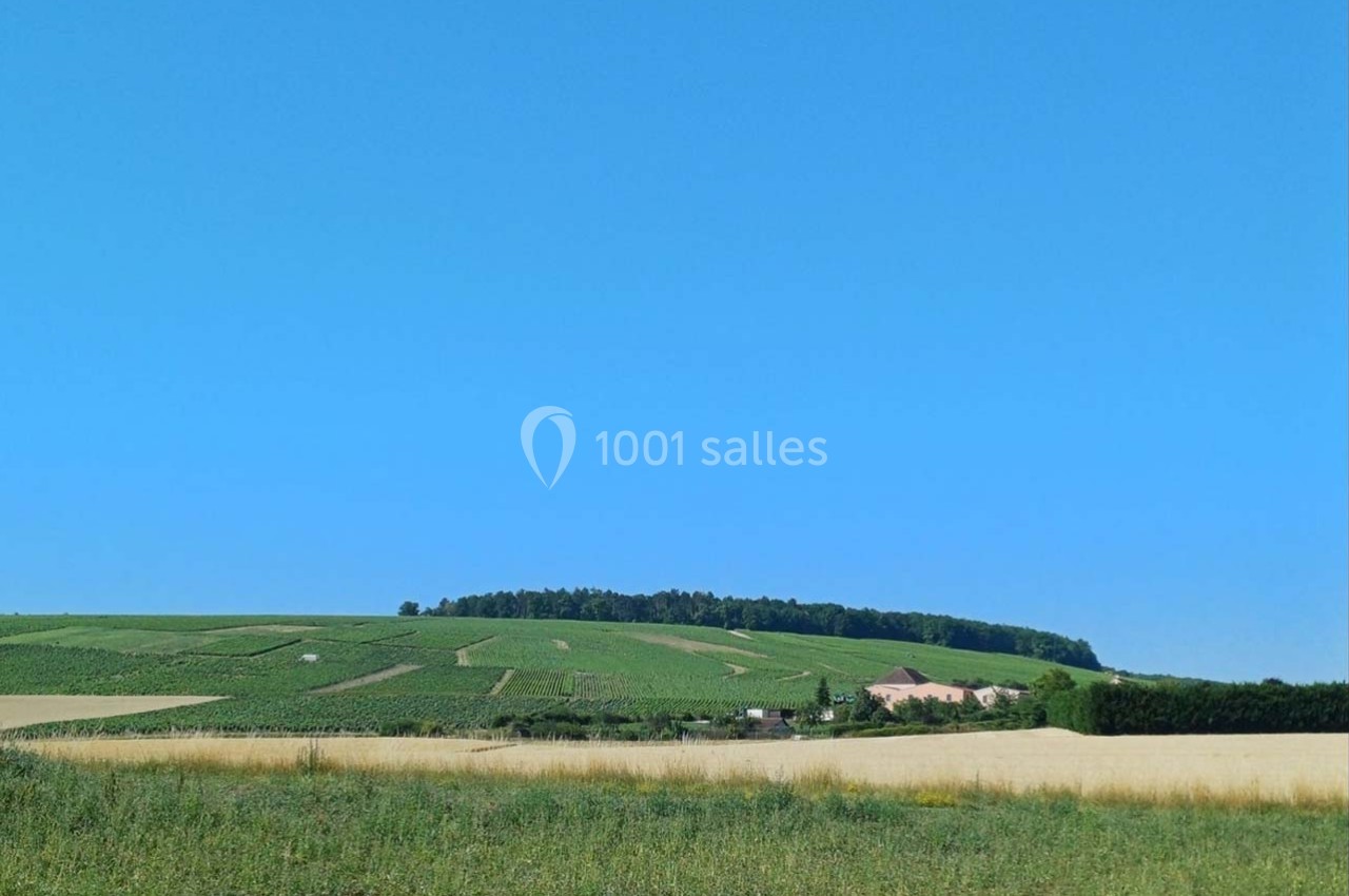 Paysage rural avec des champs verdoyants, une petite maison au loin et un ciel bleu dégagé.