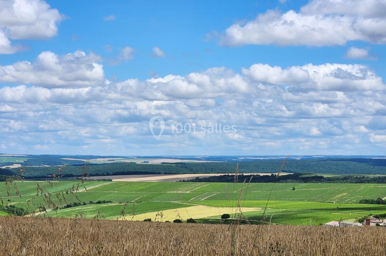 Paysage rural avec champs verdoyants, forêt à l'horizon et ciel bleu parsemé de nuages.