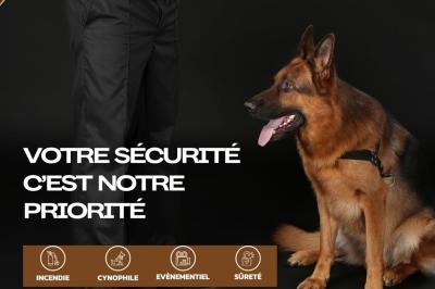 Un berger allemand assis, équipé d'un harnais, aux côtés d'une personne en tenue noire sur fond sombre.