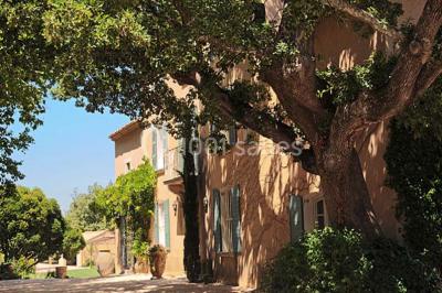 Miniature Location salle Trets (Bouches-du-Rhône) - Château Grandboise #13 Location salle Trets (Bouches-du-Rhône) - Château Grandboise #22