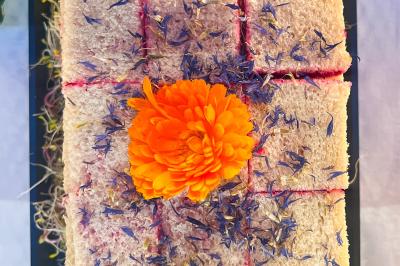 Miniature Traiteur Lyon 2 (Rhône) - Food And Beyond #12 Sandwiches colorés empilés avec des garnitures variées, entourés de roquette et d'olives vertes.