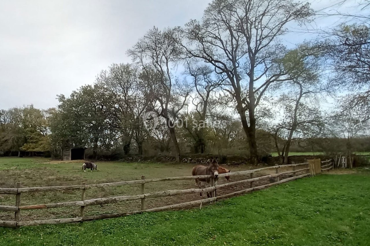 Cheval près d'une clôture en bois dans un pré verdoyant, avec des arbres et un abri en arrière-plan.