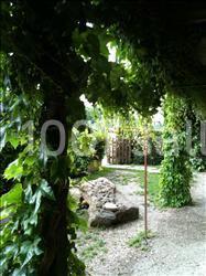 Les Salles De L'oise - galerie - photo 15