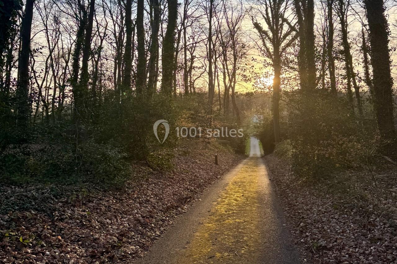 Chemin forestier bordé d'arbres en hiver, éclairé par une lumière dorée du soleil couchant.