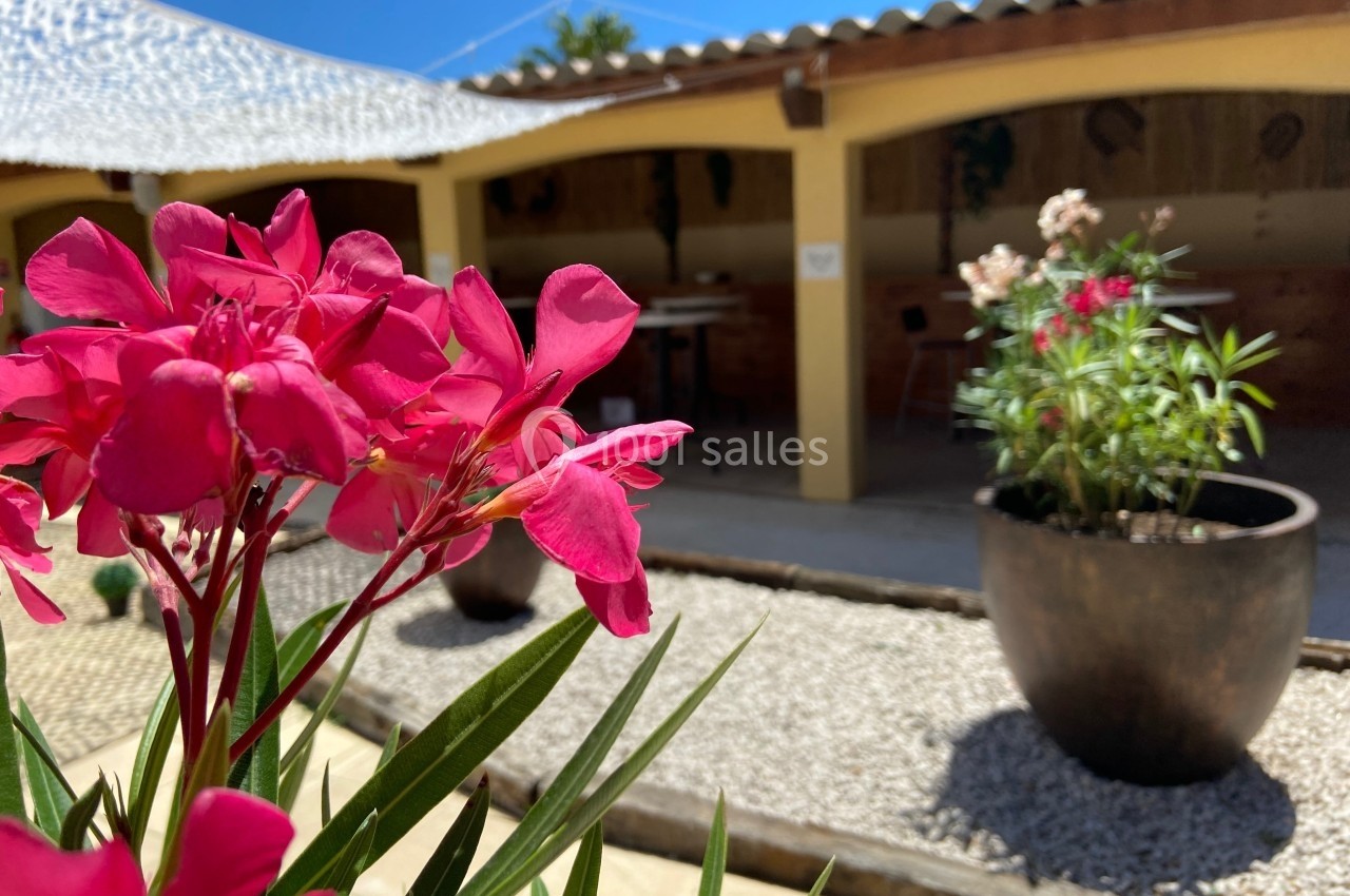 Fleurs roses en gros plan devant une terrasse couverte, avec des pots de plantes et un ciel bleu en arrière-plan.