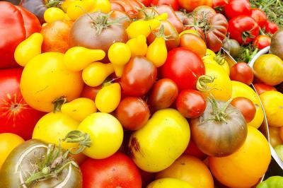 Miniature Traiteur Nousty (Pyrénées-Atlantiques) - Adquat Traiteur #9 Cheesecake rond avec zeste de citron jaune et vert, sur une base de biscuit spéculoos.