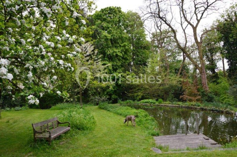 Un banc en bois près d'un étang entouré d'arbres et de verdure, avec un chevreuil broutant l'herbe.