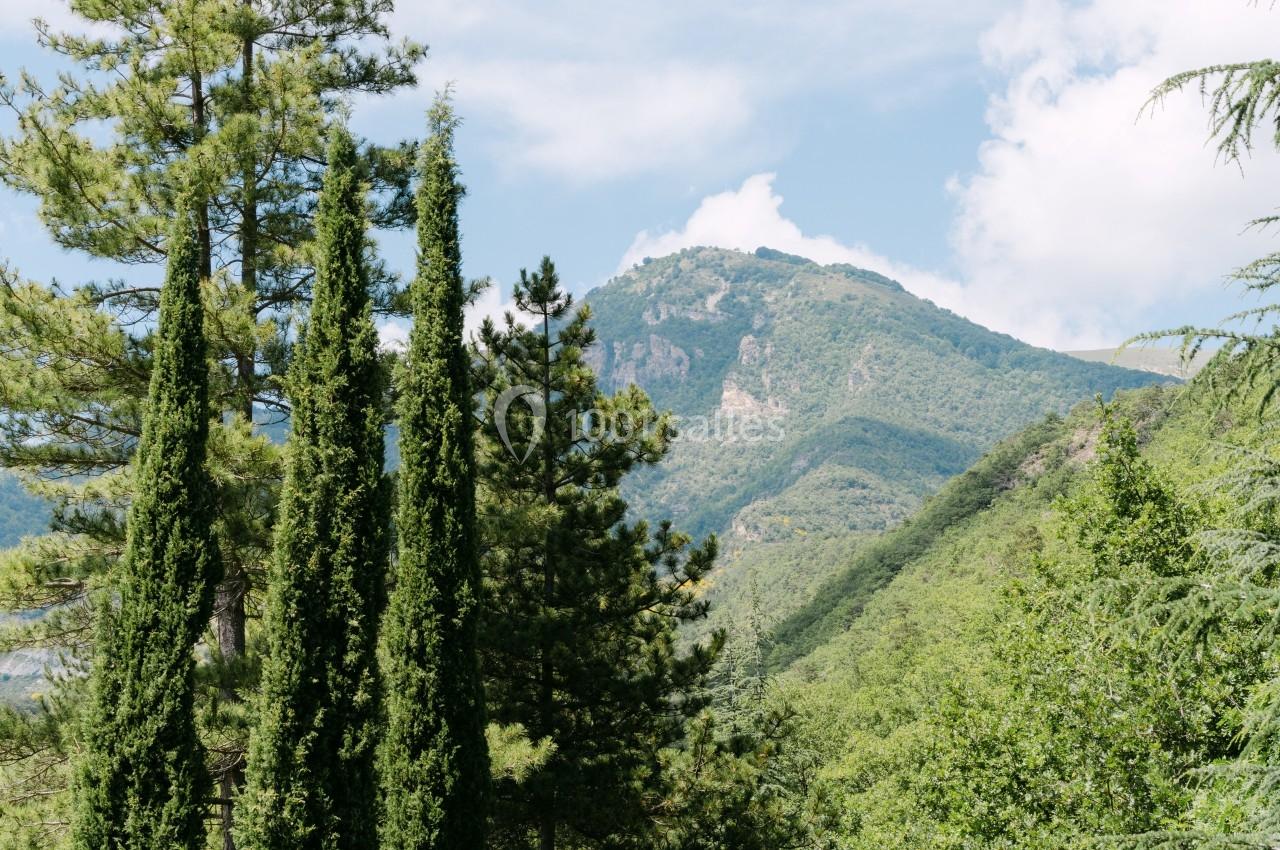 Paysage de montagne verdoyante avec des arbres élancés au premier plan et un ciel partiellement nuageux.
