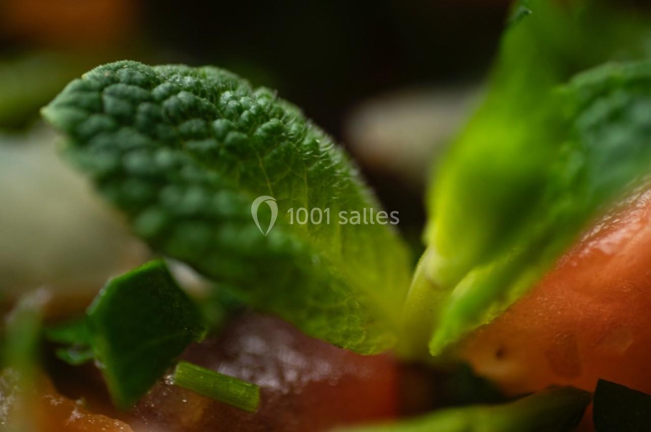 Gros plan sur des feuilles de menthe fraîche entourées de morceaux de tomate et d'herbes hachées.