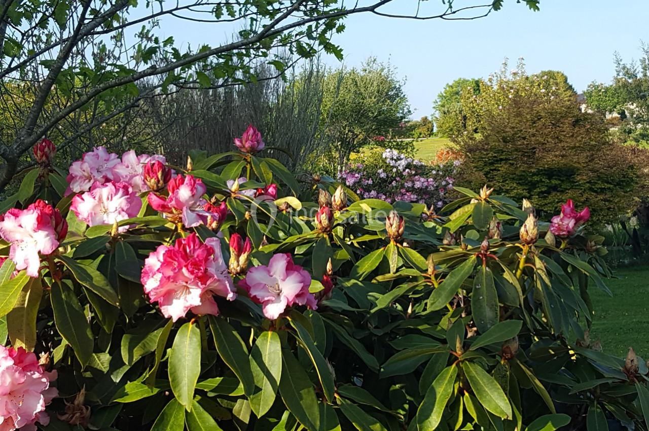 Domaine des Rhododendrons - galerie - photo 25